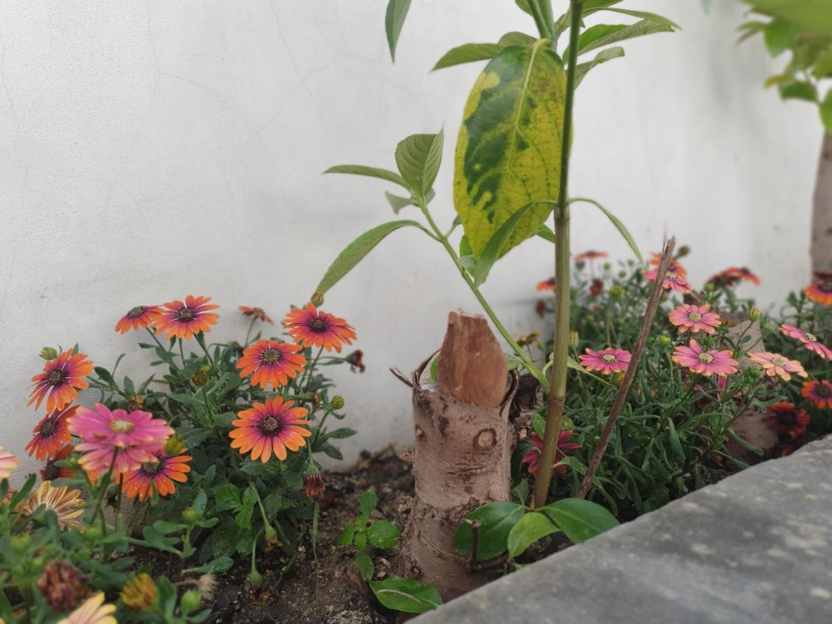 Miro B&B Lecce Kültér fotó